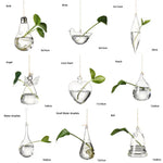vases suspendus verre transparent motifs oiseaux coeurs plantes vertes minimaliste terrarium hydroponie