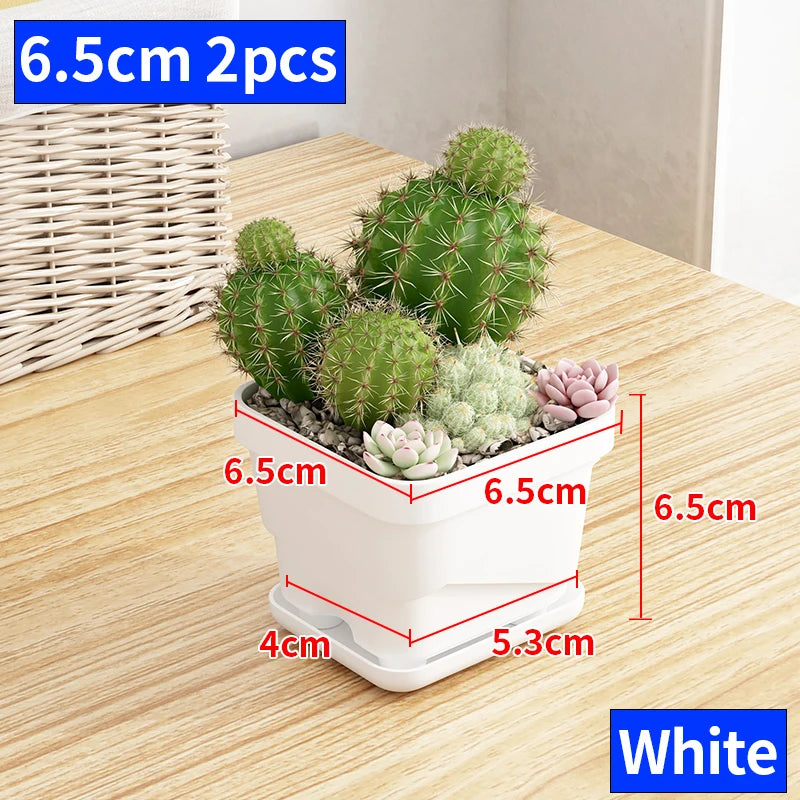 petit pot fleurs blanc plastique moderne cactus succulentes plateau intégré