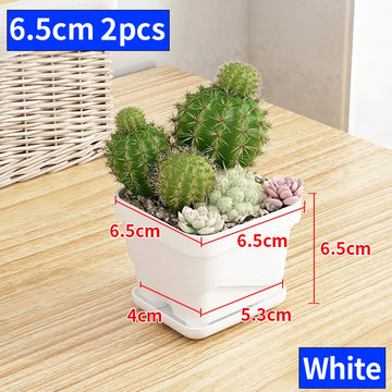 pot fleurs carré blanc plastique moderne jardinière plante succulente semis décoration intérieur