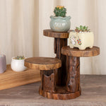 support plantes marron clair bois brut rustique salon trois niveaux sans pliage imperméable