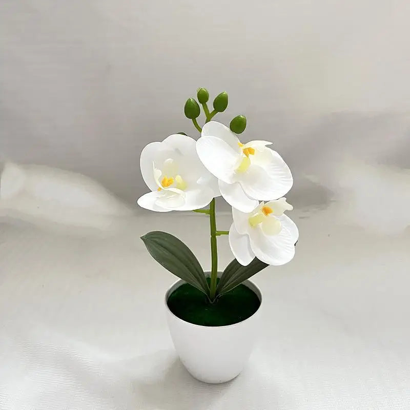 fleurs orchidées artificielles pot blanc moderne minimaliste blanc rose vert