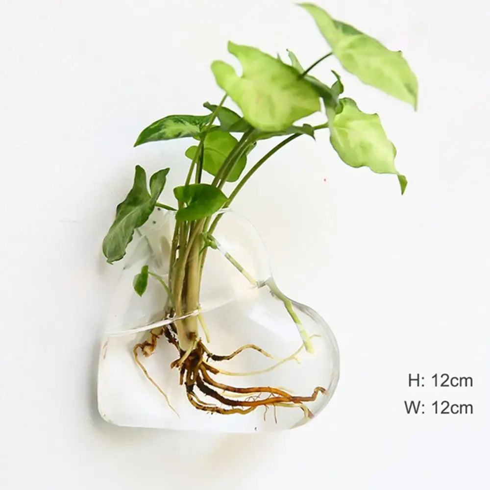 vase transparent moderne verre plante racines intérieur décoration hydroponique fleur