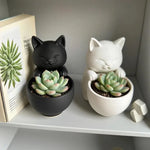 cache pot forme chat texture cuir moderne noir blanc gris drainage succulentes cactus chambre