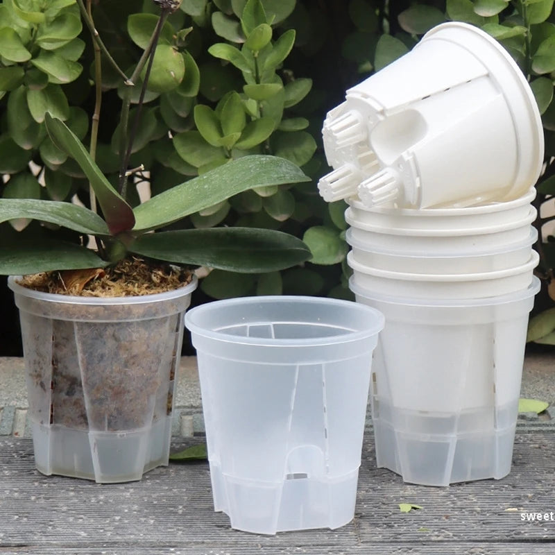 pots plante moderne auto arrosants transparents blancs hydroponiques lazy eyelets