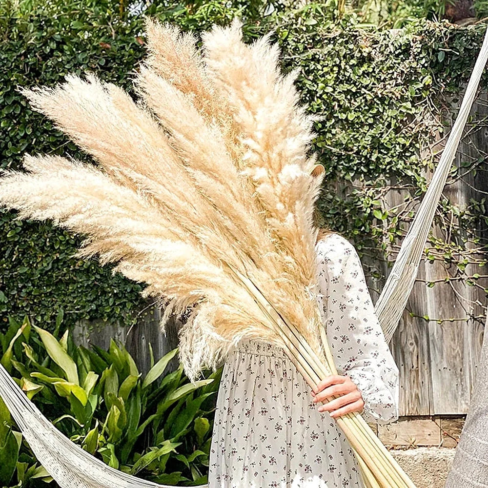 grande plume herbe pampa séchée beige clair décoration maison mariage naturel rustique 120cm