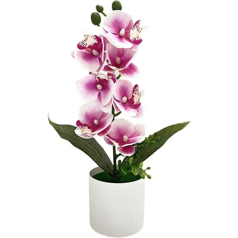 décoration intérieure orchidées artificielles fleurs blanches roses bleues jaunes modernes maison