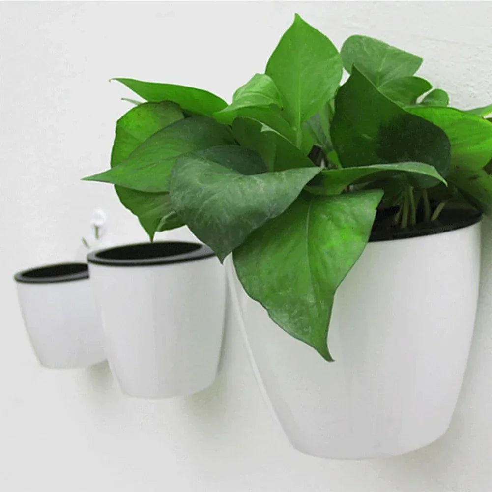 pots fleurs muraux blanc noir modernes crochets métalliques plante verte terreau galets décor