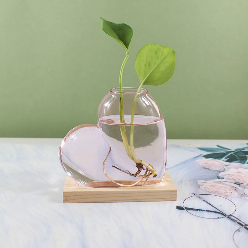 vase verre forme cœur transparent moderne plante verte support bois