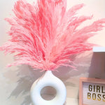 bouquet pampas séchées naturelles décoration maison anniversaire baby shower graduation rustic styleintérieur festive