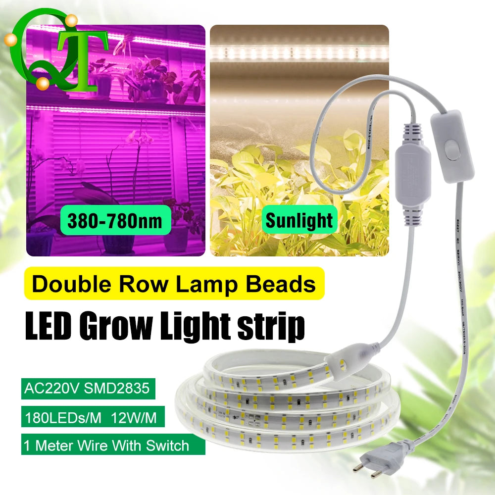 ruban led croissance rose blanc points lumineux clips moderne câble interrupteur étanche 12w/m