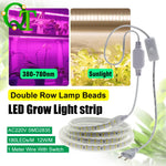 ruban led croissance rose blanc points lumineux clips moderne câble interrupteur étanche 12w/m