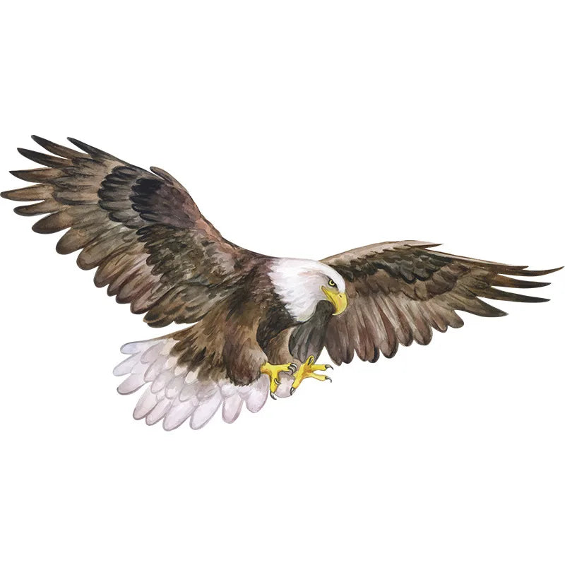 autocollant mural aigle animal compagnie réaliste plumage décoration étudiant dortoir opacité artiste