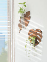 Support mural moderne feuille Monstera clips métalliques plante verte tube verre transparent chambre salon