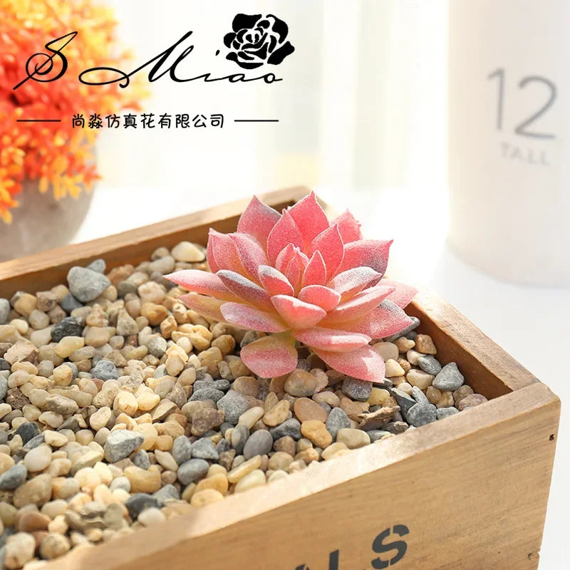 plantes succulentes artificielles vert feuilles pointues réaliste gravier boîte bois extérieur anniversaire exposantDecoration