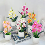 décoration intérieure orchidées artificielles pots blancs fleurs simples feuilles vertes moderne