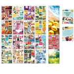 livre stickers multicolores modernes stickers autocollants photos naturelles fruits animaux scènes urbaines adhésifs minimaliste