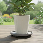 plateau roulettes moderne plantes gris blanc facile déplacer support résine