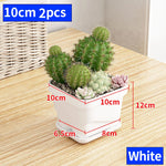 petit pot fleurs blanc plastique moderne cactus succulentes plateau intégré