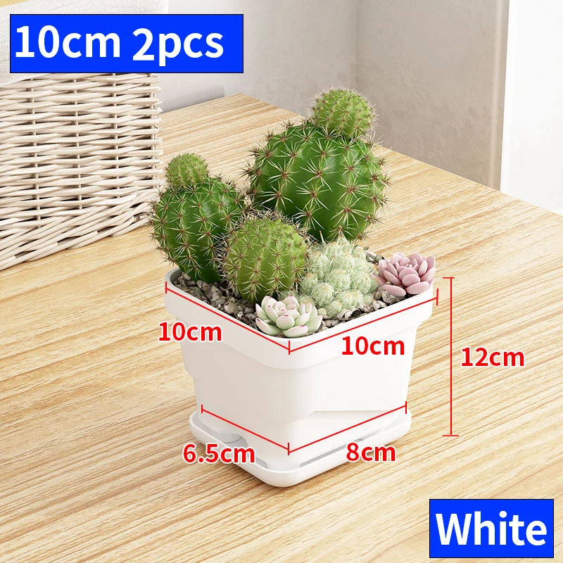 petit pot fleurs blanc plastique moderne cactus succulentes plateau intégré