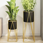 Support pour fleurs noir avec plante verte en décoration intérieure