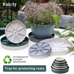 plateau protection racine bonsaï gris blanc vert rayures radiales moderne
