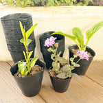 pots fleurs noirs opaques bacs pépinière plastique simples utilitaires plantes 13 10 cm