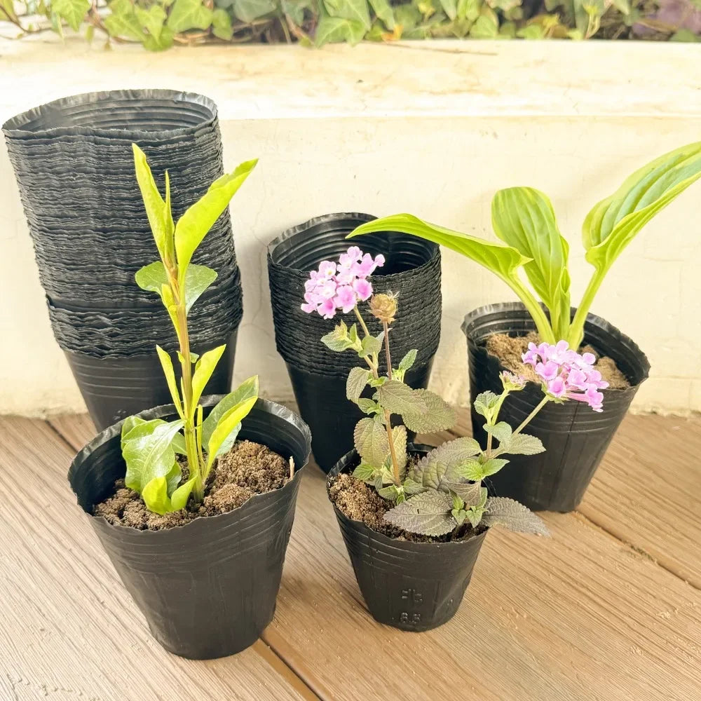 pots fleurs noirs opaques bacs pépinière plastique simples utilitaires plantes 13 10 cm