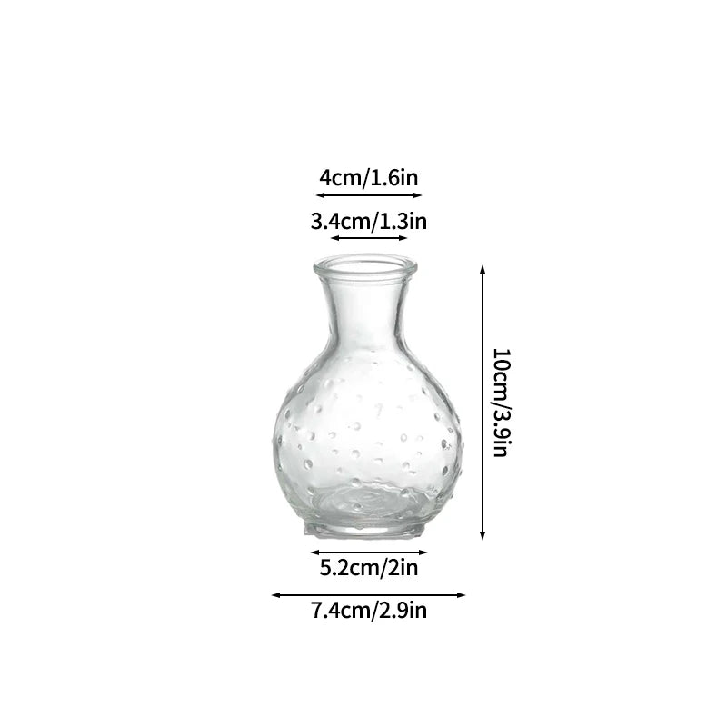 vases transparents modernes artificielles couleurs variées décoration intérieure minimaliste