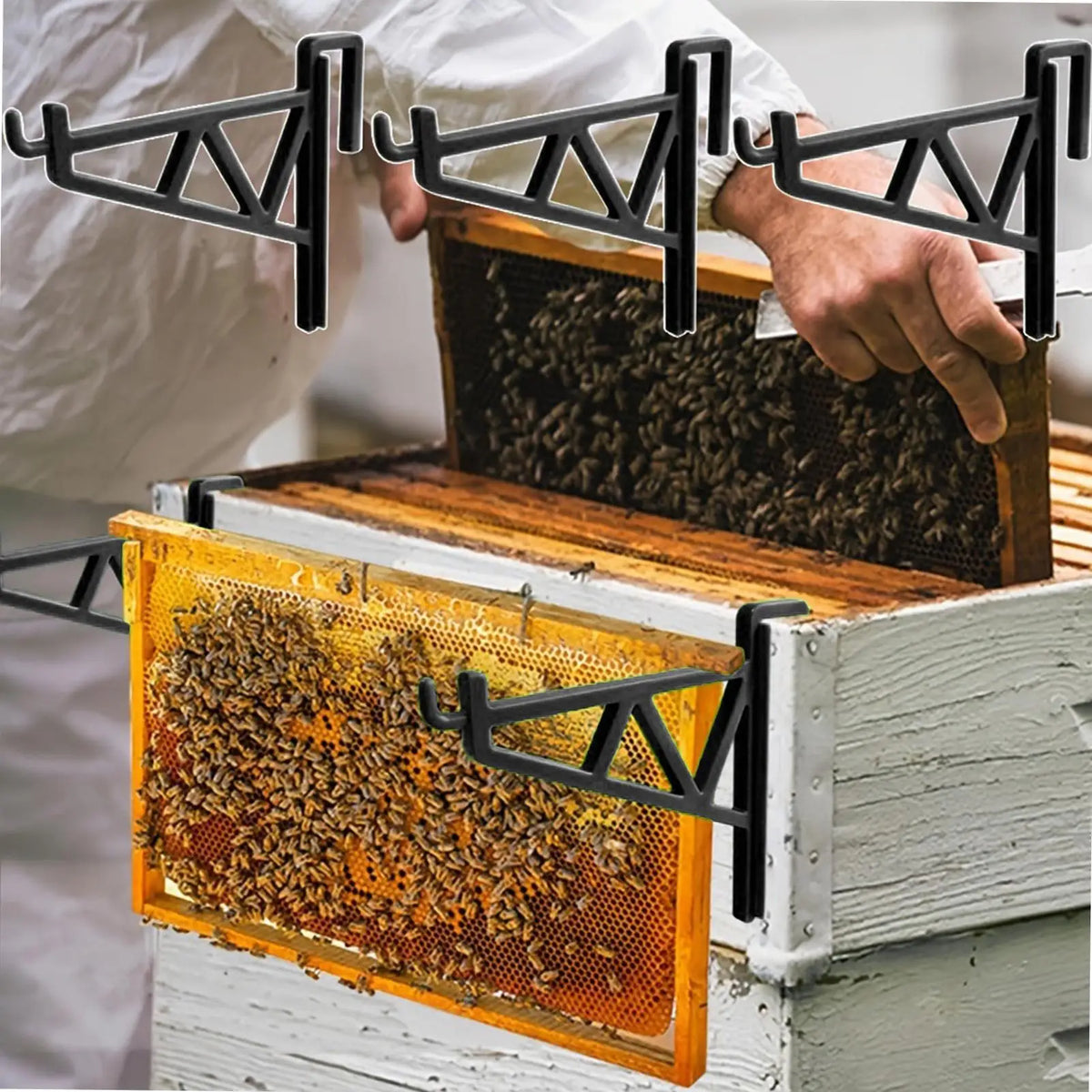 supports cadre d'apiculture vert noir clips multifonctionnels outils d'apiculture couteau grille fixations rapides