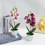 Orchidée artificielle rose pot blanc fleurs blanches intérieur décoration moderne salon événement