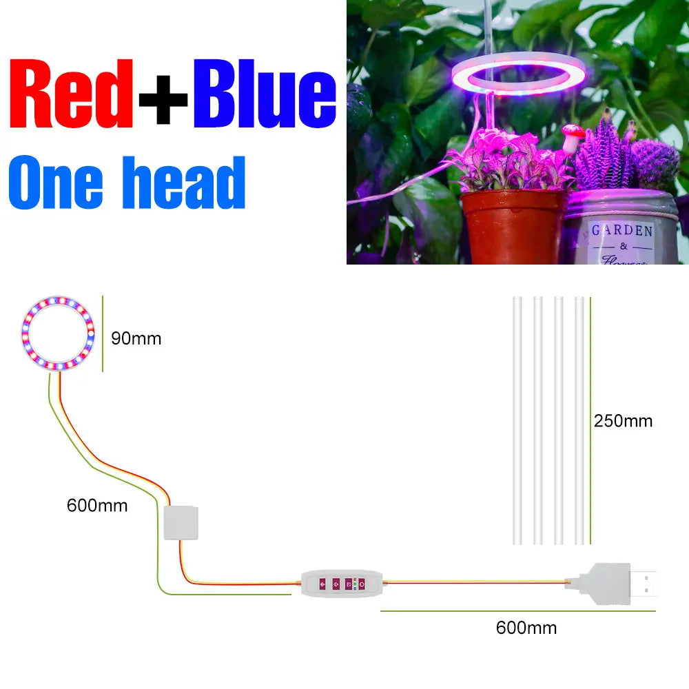 lampe led croissance plante circulaire diodes blanc moderne anneau flexible réglable temps
