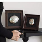 décoration murale coquilles naturelles classiques cadre brillant noir marron salon chambre affichage ornement traditionnel