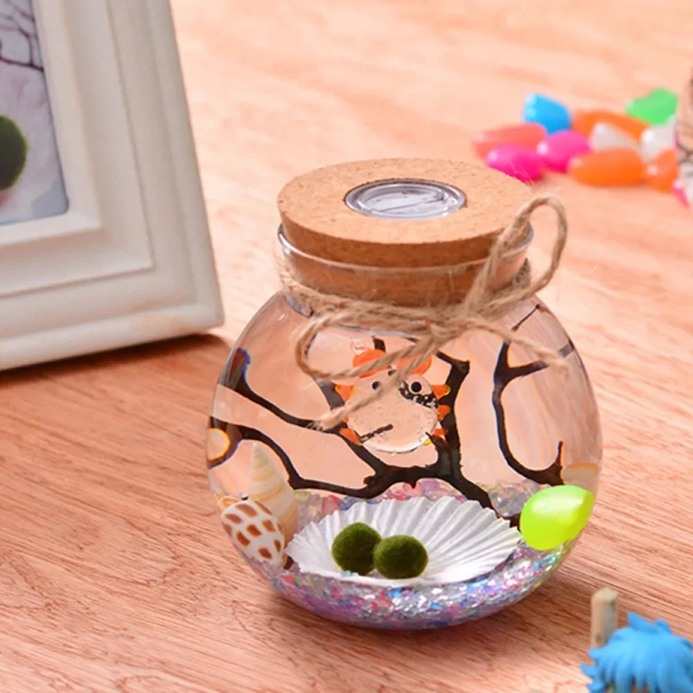 bocal verre transparent coquillages branches bouleaux figurine led colorée nocturne deco naturelle