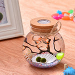 bocal verre transparent coquillages branches bouleaux figurine led colorée nocturne deco naturelle
