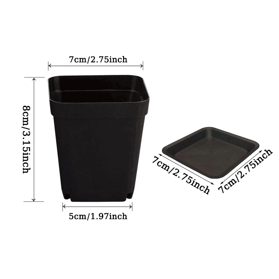 pots fleurs carrés multicolores plastique violet bleu jaune vert moderne adhésif 7cm 8cm 5cm