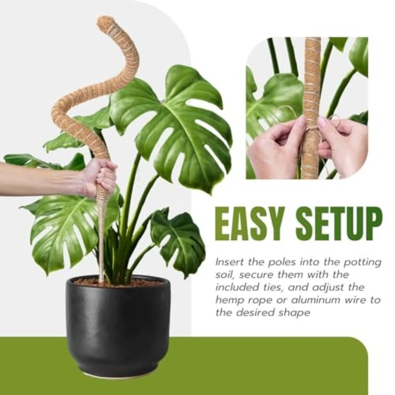 support plante grimpante fibre végétale marron clair naturelle rustique facile utiliser adhésif twine velcrointérieurextérieurbalconjardin