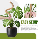 support plante grimpante fibre végétale marron clair naturelle rustique facile utiliser adhésif twine velcrointérieurextérieurbalconjardin