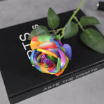décoration intérieure moderne roses artificielles multicolores brillantes adhésif vase