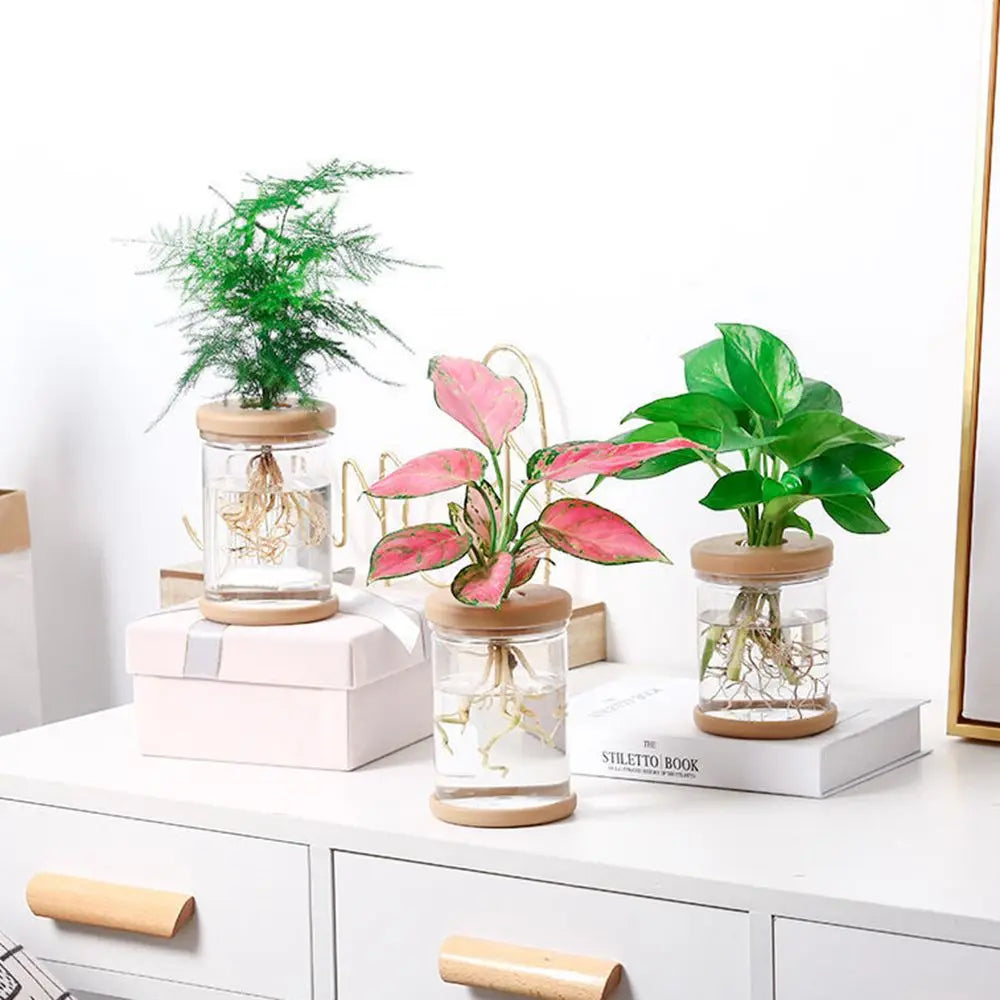 vase hydroponique transparent moderne minimaliste plantes intérieures simpleDecorationInterieur