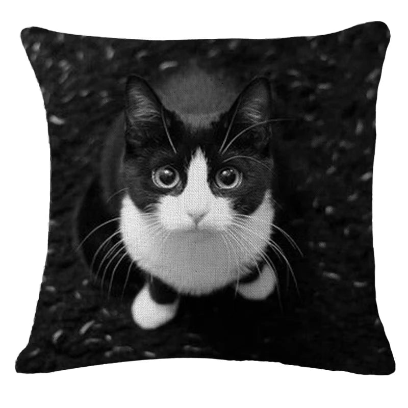 coussin carré imprimé chat noir blanc moderne 100% polyester 45x45cm amovible lavable