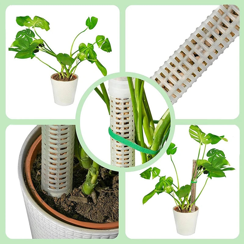 support plantes blanc perforé moderne pot drainage auto arrosageintérieur jardin