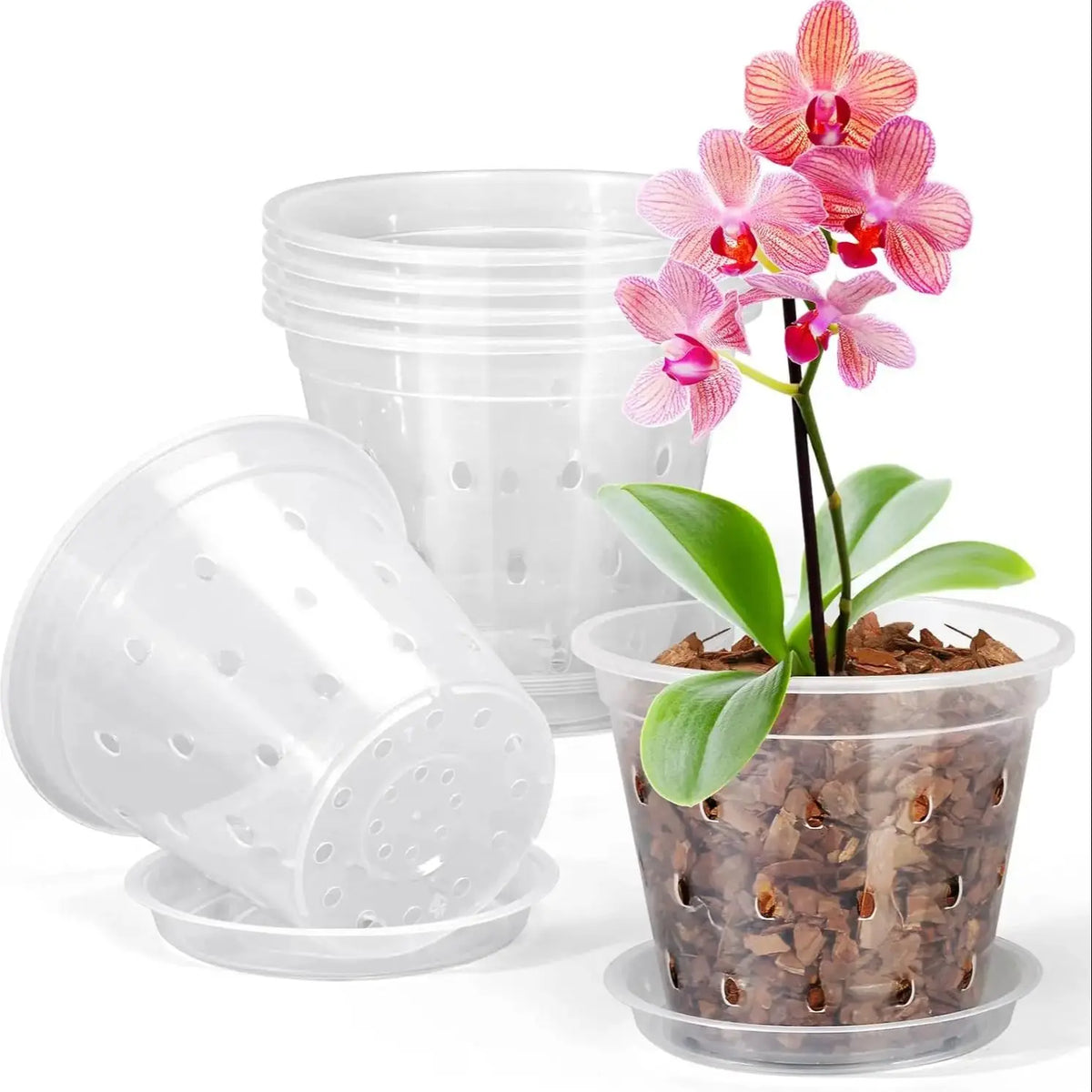 Pots fleurs transparents perforés moderne 11cm 12.5cm 14cm 15cm 17cm 5pcs