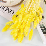 fleurs séchées naturelles bouquet blanc jaune vert rose bleu vases décoration maison mariage anniversaire