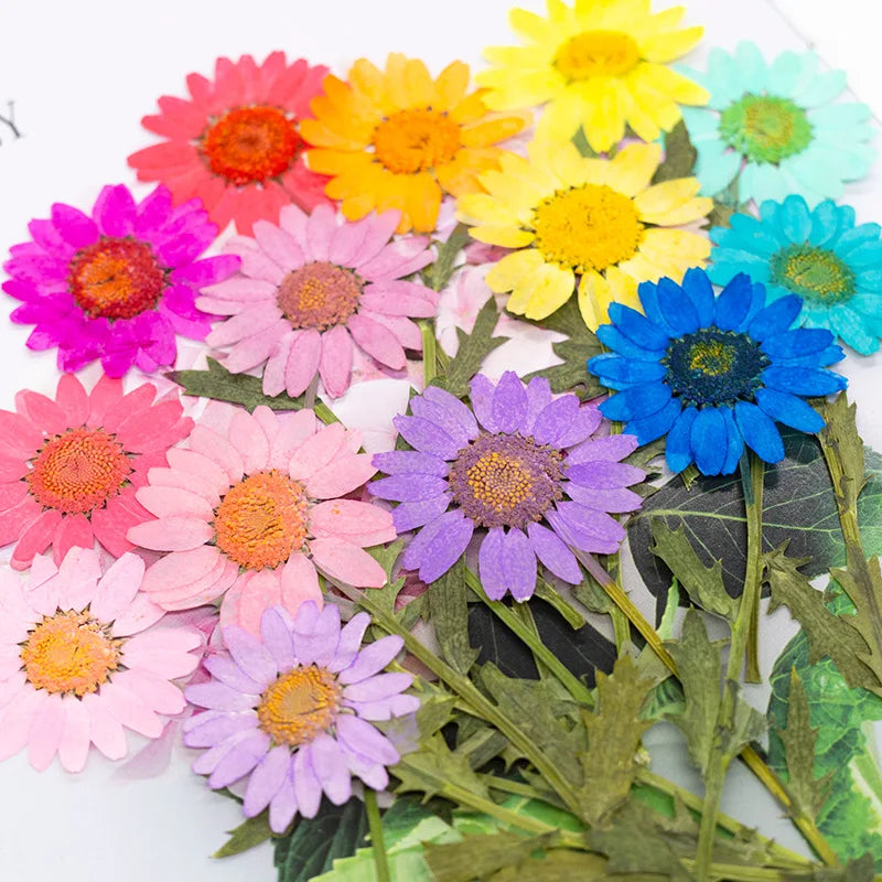 fleurs séchées artificielles rose jaune bleu violet décoration intérieure bijoux résine marque page bougie