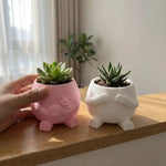 cache pot mignon rose clair blanc cactus succulentes visage souriant chaton cartoon opacité