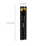 lampe torche uv 10w rechargeable lumière noire 365 405nm détecteur animaux billets minéraux led
