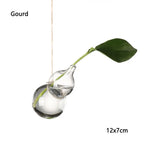 vases suspendus verre transparent motifs oiseaux coeurs plantes vertes minimaliste terrarium hydroponie