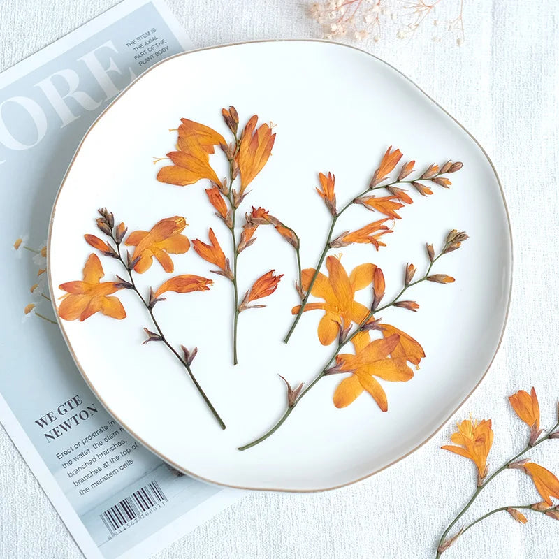 décoration intérieure plante séchée fleurs orchidée feuilles vertes orange diy cadre photo