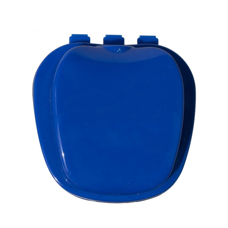 brosse dents conteneur prothèse dentaire bleu blanc moderne pratique hygiène buccale set accessoire santé