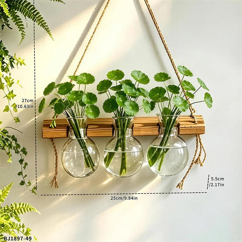 support mural plantes suspendues bois naturel verre transparent motifs végétaux rustique minimaliste cordon suspension